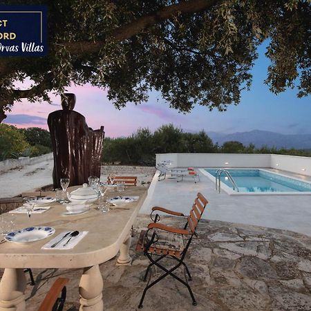 Villa Dubrava Tranquil Retreat Nestled In An Olive Grove For Serene Escapes Pucisca Kültér fotó