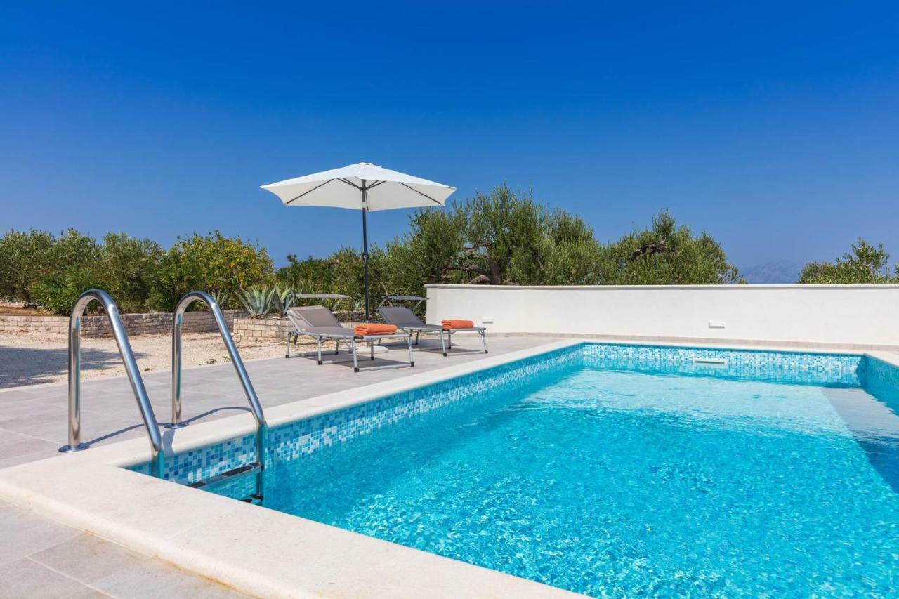Villa Dubrava Tranquil Retreat Nestled In An Olive Grove For Serene Escapes Pucisca Kültér fotó