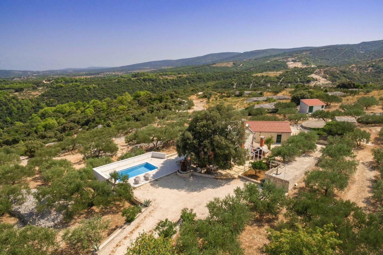 Villa Dubrava Tranquil Retreat Nestled In An Olive Grove For Serene Escapes Pucisca Kültér fotó