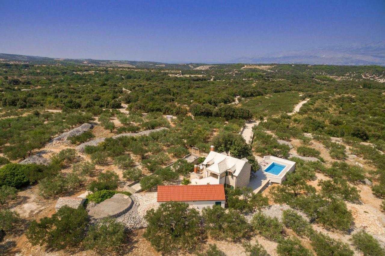 Villa Dubrava Tranquil Retreat Nestled In An Olive Grove For Serene Escapes Pucisca Kültér fotó