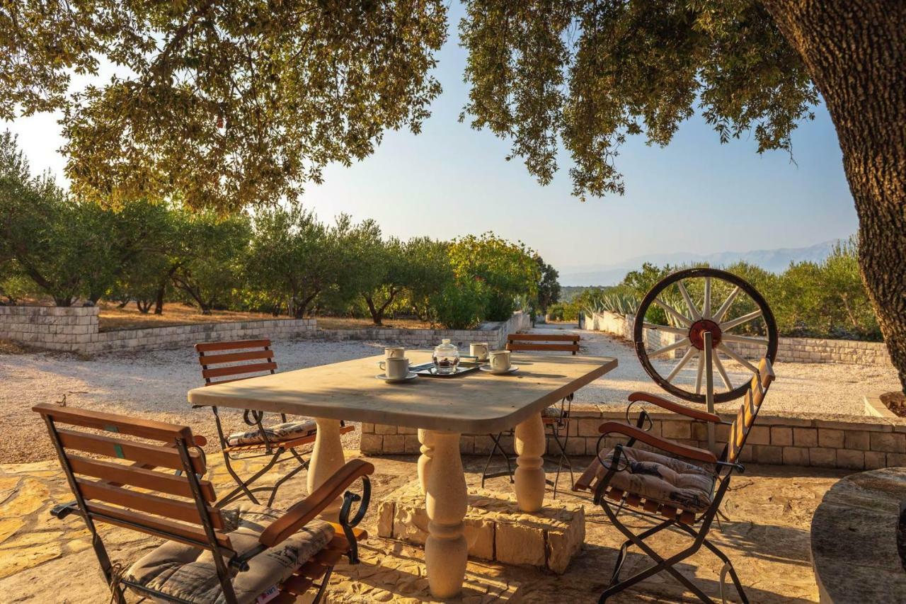 Villa Dubrava Tranquil Retreat Nestled In An Olive Grove For Serene Escapes Pucisca Kültér fotó