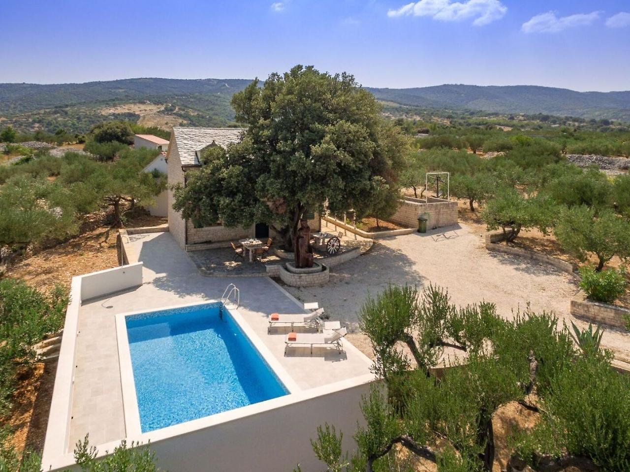 Villa Dubrava Tranquil Retreat Nestled In An Olive Grove For Serene Escapes Pucisca Kültér fotó