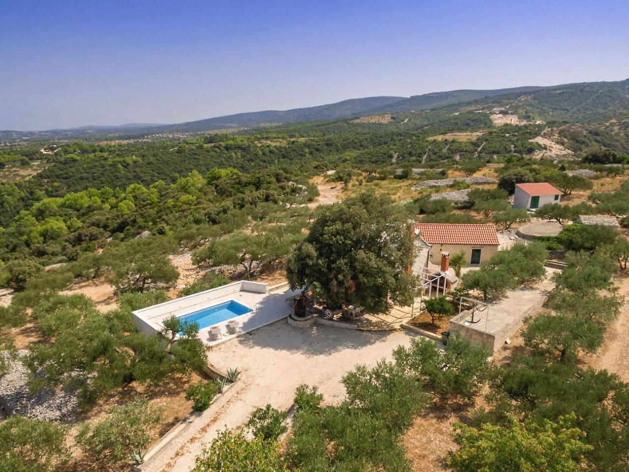 Villa Dubrava Tranquil Retreat Nestled In An Olive Grove For Serene Escapes Pucisca Kültér fotó