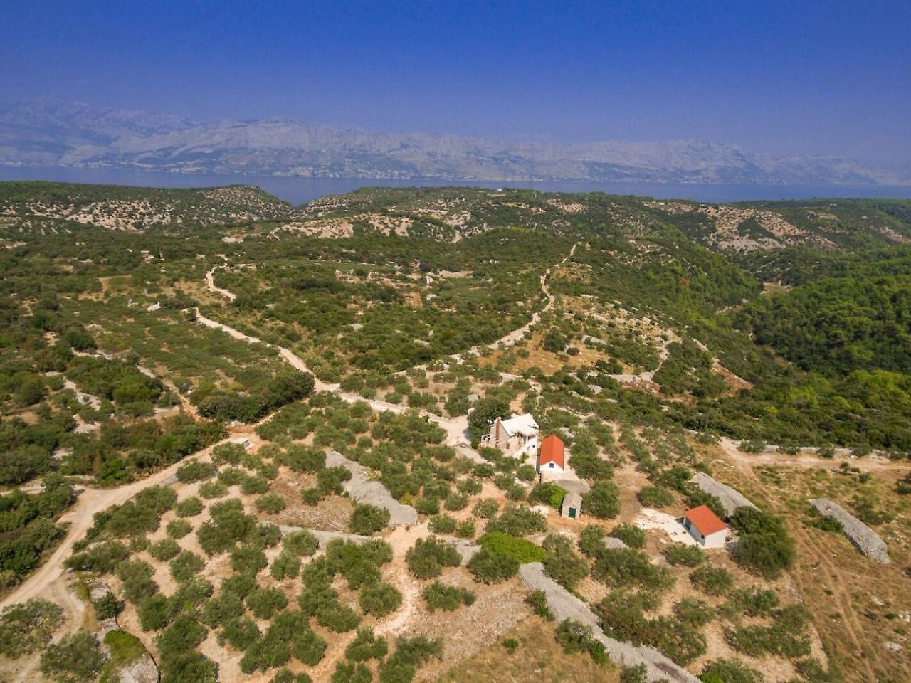 Villa Dubrava Tranquil Retreat Nestled In An Olive Grove For Serene Escapes Pucisca Kültér fotó